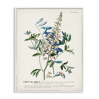 Stupell Home Decor Flowers And Leaves Vintage Design Framed Wall Art