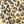 Cream Leopard