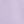 Sunflower Purple