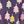 Purple Multi Trees