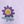 Sunflower Purple