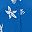 Bright Cobalt Starfish