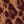 Cheetah Brown