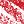 Cranberry