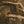 Brown Camo