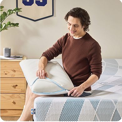 Sealy Dreamlife® 1.5 inch Twin XL Mattress Topper and Memory Foam Pillow Bundle