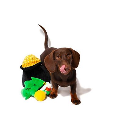 Midlee Hide-a-toy Pot Of Gold St. Patrick's Day Dog Toy