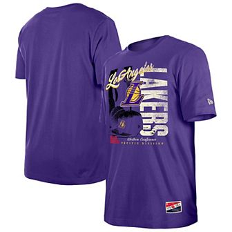 Men's New Era Purple Los Angeles Lakers Distressed Throwback Vintage Color Pack T-Shirt