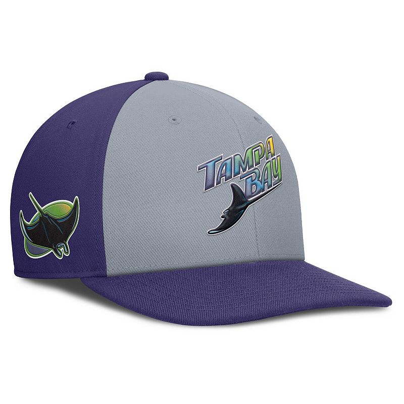 UPC 198117000249 product image for Men's Nike Gray/Purple Tampa Bay Rays Pro Performance Snapback Hat, Size: Medium | upcitemdb.com
