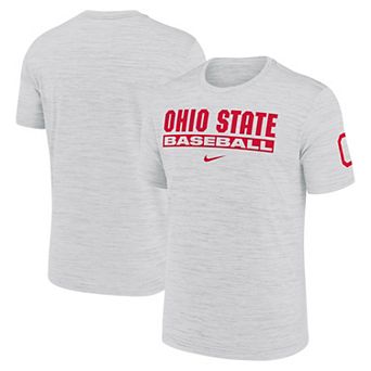 Men's Nike Ash Ohio State Buckeyes Velocity Baseball Wordmark Stack Dri-FIT T-Shirt