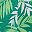 Tropical Palm Leaf