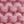 Pink Salmon