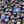 Navy Josefina Fleurs