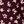 Plum Alice Ditzy