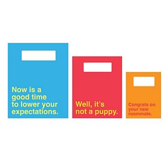 Prank-O 3 pk Funny Phrase Gift Bags