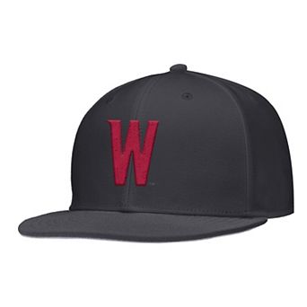 Men's Nike Anthracite Washington State Cougars On-Field Baseball Performance Fitted Hat
