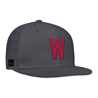 Men's Nike Anthracite Washington State Cougars On-Field Baseball Performance Fitted Hat