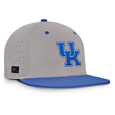 Men's Nike Gray Kentucky Wildcats On-Field Dugout True Performance Fitted Hat