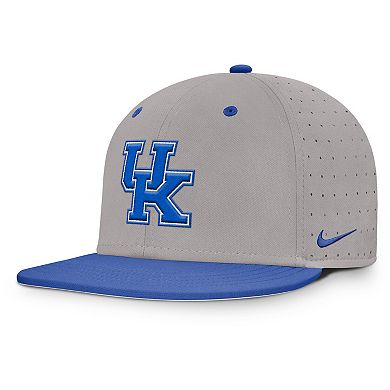 Men's Nike Gray Kentucky Wildcats On-Field Dugout True Performance Fitted Hat