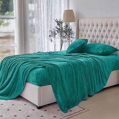 Elegant Comfort Luxurious Warm and Cozy 4-Piece Velvet Plush Fleece Bed Sheet Set