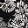 Black Estelle Floral