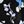 Black Beryl Floral