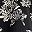 Black Estelle Floral