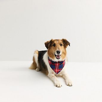 Pet Jammies For Your Families® Tolli Tartan Plaid Bandana