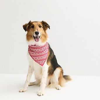 Jammies For Your Families® Fairisle Pet Bandana