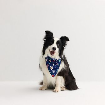 Pet Jammies For Your Families Holiday Jumble Bandana