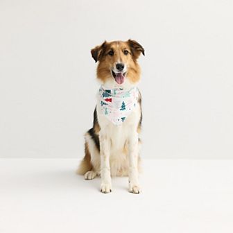 Jammies For Your Families® Christmas Tree Farm Pet Bandana