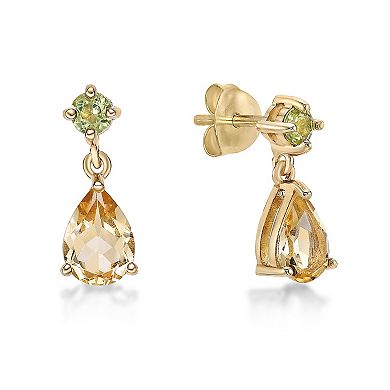 Gemminded 18k Gold Over Silver Citrine & Peridot Drop Earrings