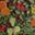 Black Green Multi