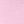 Pink Blossom