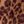 Cheetah Brown