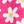 Large Floral Pink