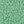 Green Cactus