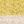 Yellow Cactus