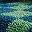 Blue Green