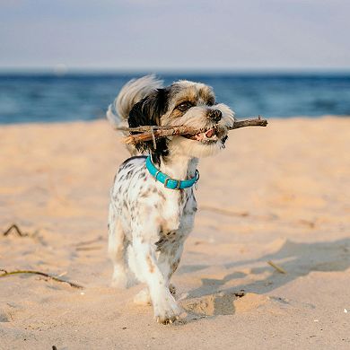 Dog Chewable Wood for Boredom and Stimulating Wood Color 7.09"x0.98"