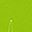 Yellow Green