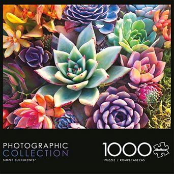 Buffalo Games Jigsaw Puzzle Simple Succulent