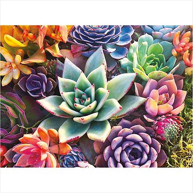 Buffalo Games Jigsaw Puzzle Simple Succulent