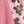 Pink Painted Flowers
