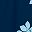 Navy Blue Floral