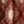 Spice Red