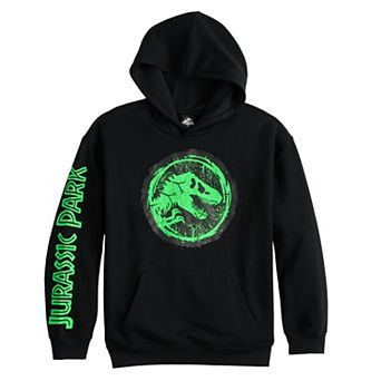 Boys 8-20 Jurassic Park T-Rex Stamp Graphic Hoodie