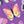 Violet Butterflies
