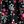 Holiday Floral Black