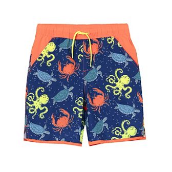 Boys 6-20 Lands' End Slim Stretch Hydroliner Swim Trunks